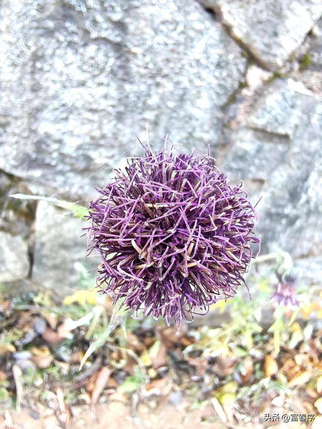 西安周边藏不住，浅山暖阳等你来晒！