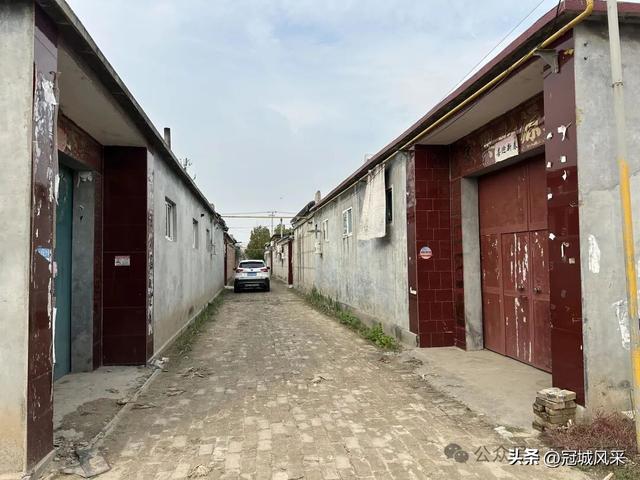 冠县乡韵·桑阿镇轧庄