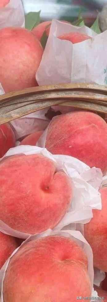 鲜 果 上 市 ！