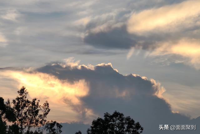 在川西最沉默的古镇，与千年榕树共饮