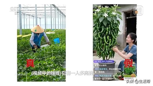 你刷到的奥运冠军代言可能是假的！起底AI仿冒带货新骗局