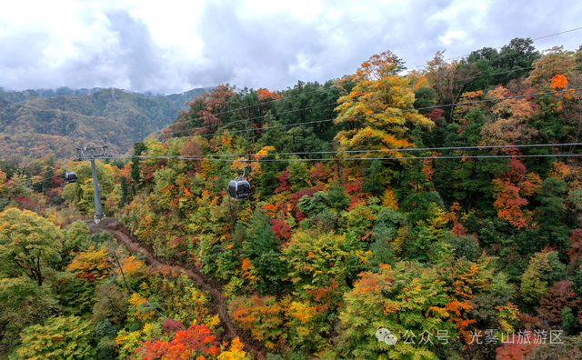 宝子你听我说，近期天气好、红叶美，光雾山可以冲了!