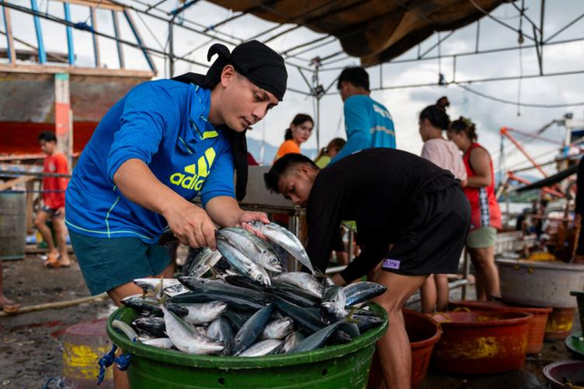 为了给日本撑腰	，菲律宾的飞机闯入我国领空，不料掉进了天罗地网