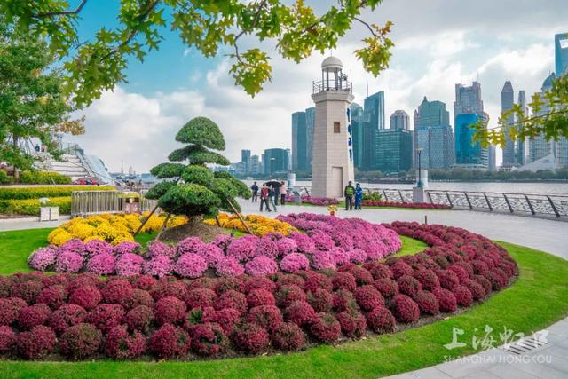 周末晒太阳，虹口有这些好去处