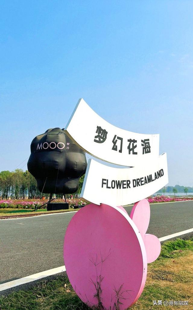 星空电影+秋日市集！“双节”牧川露营成市民“逃离喧嚣”新选择