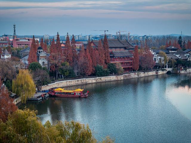 古城杉树运河魂