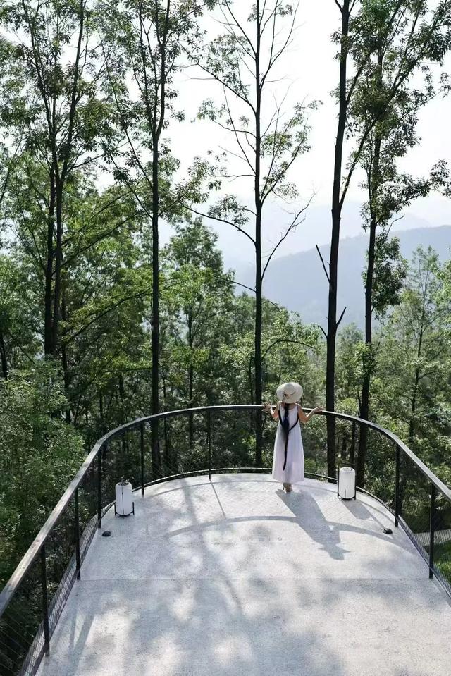 镇巴黄金小环线：一场逃离喧嚣的治愈之旅