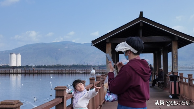 风有约 花不误 | 在异龙湖，骑进春天的画卷里