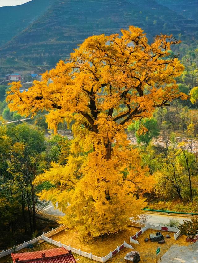 运城秋日的N种浪漫