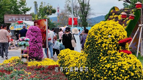 黄陂赏秋，这样玩才够味！