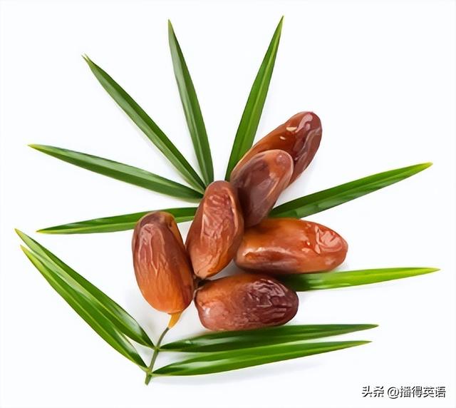 为什么“枣”的英文是 date?
