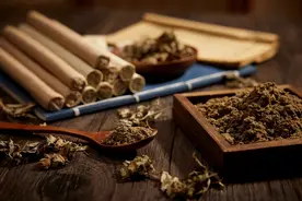 百岁“药王”的艾灸长寿秘笈图片