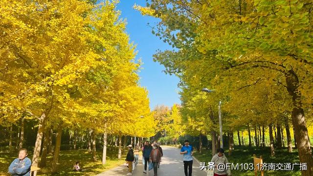 公园景区秋色图鉴,这几处必打卡