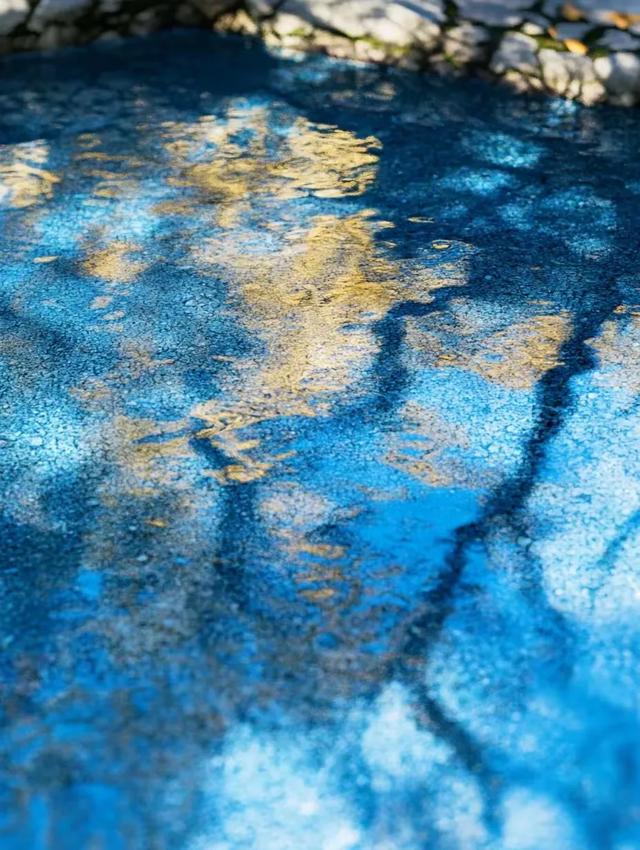 八月蓝海