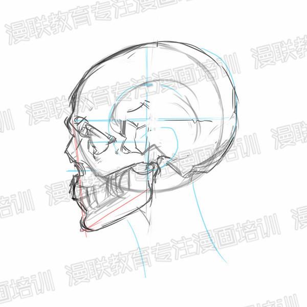 零基础绘画教程！正脸和侧脸的超详细画法讲解