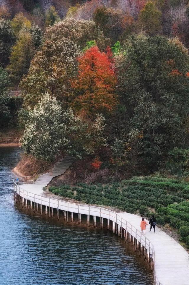 这周都是好天气！黄陂登山徒步赏秋趣！