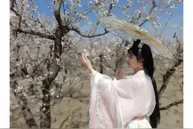 包头：杏花旅游文化节今日开幕，精彩预告抢先看图片