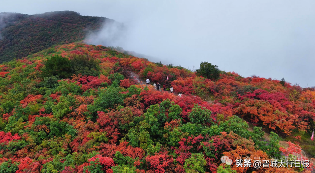 刷屏了！晋城“新顶流”！