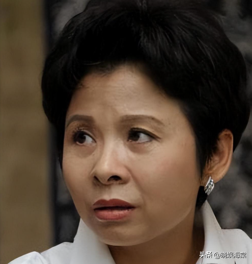 董文华不再沉寂，被“封杀”多年后揭露真相，当年是我们错怪她了