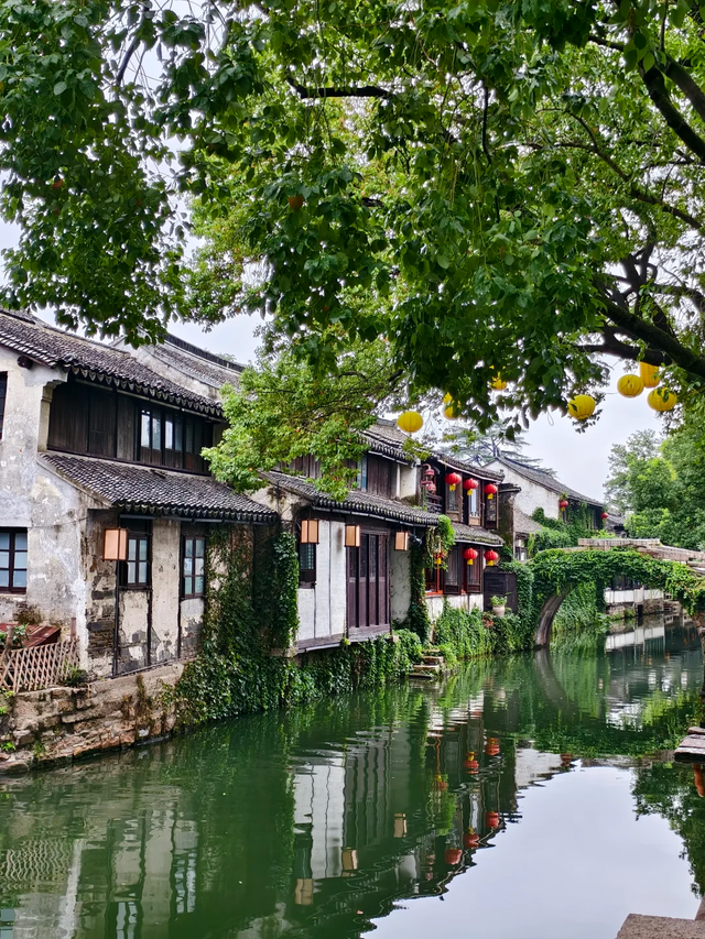 可当天往返！上海坐至苏州，最快30分钟直达！景美又好玩！