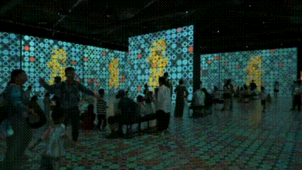 这个元旦假期来成都熊猫国际旅游度假区就对了~ | 成华融媒