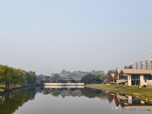 四川行(75)广汉②金雁湖公园·黑塔街·龙居寺