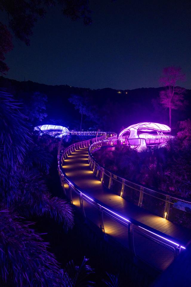 广州亲子研学，夜游植物园，走进大自然的夜课堂