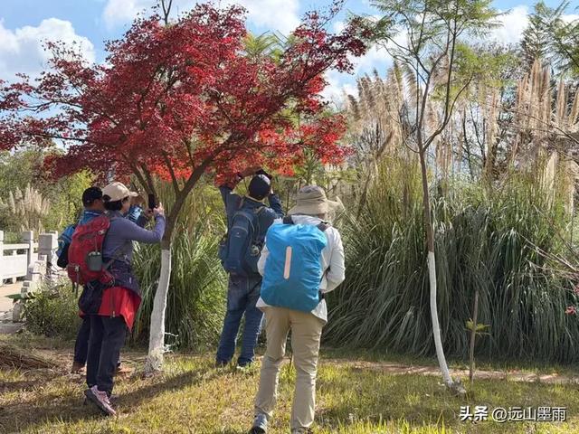 随走呈贡大学城,逛梁王湖、转小土林,感受多彩的秋冬世界,休闲
