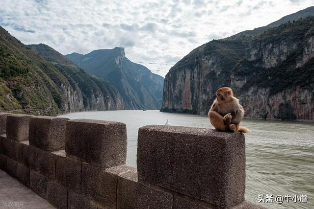 白帝城半淹水中，遗迹保护与旅游开发如何平衡