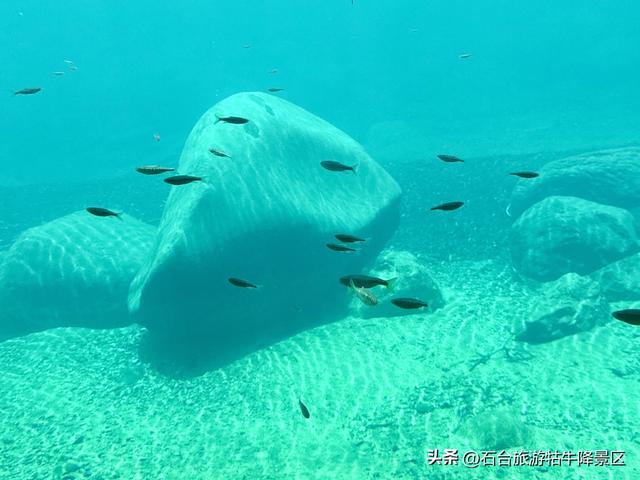 牯牛降 | 来了便不想离开