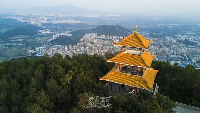 活力宝安城区指南｜山海蓝绿瞬间：山水连城，绿动宝安！