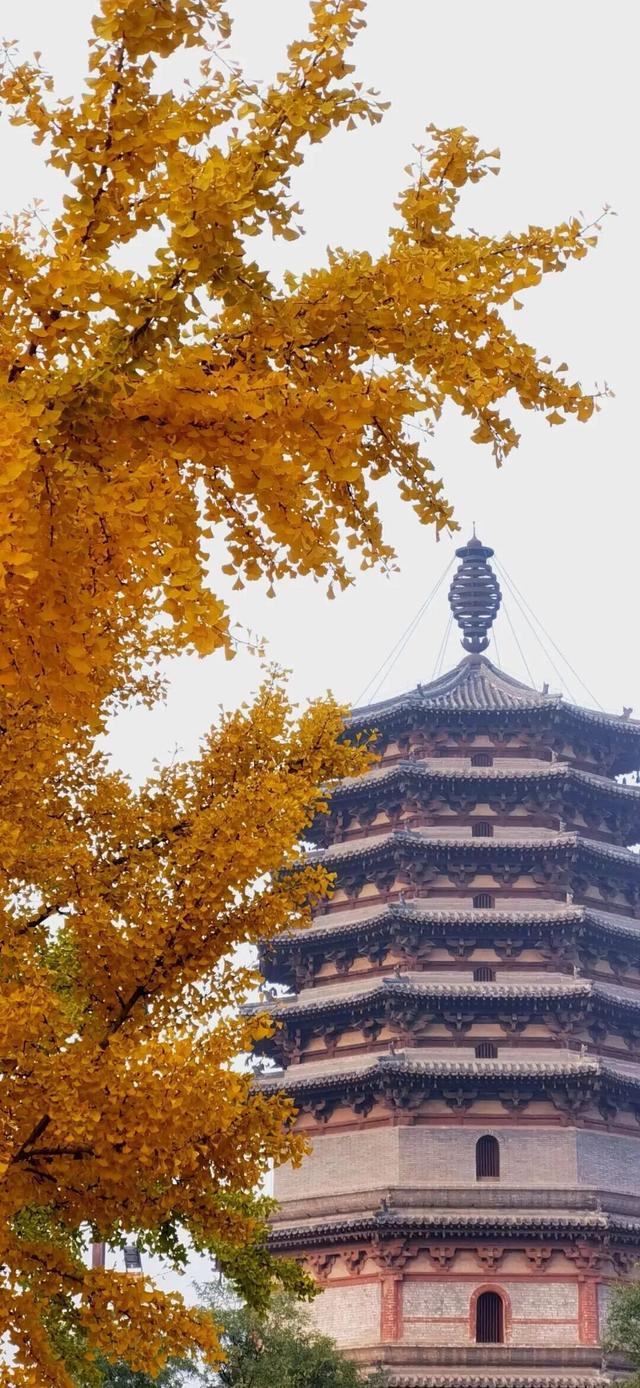 这个季节总要去趟正定，去邂逅那迷人的古建红和金秋黄！