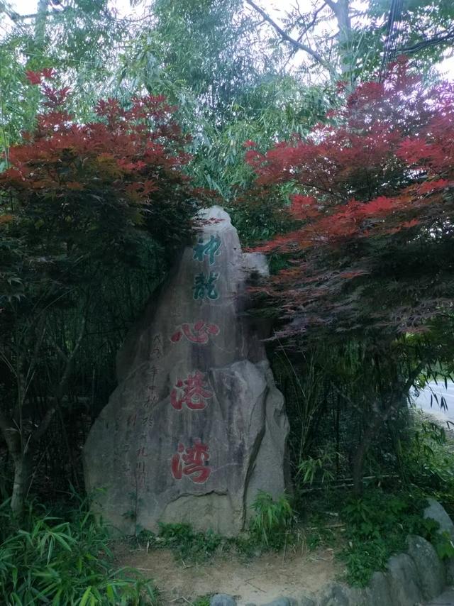 太湖源印象(三)：神龙川中听竹音