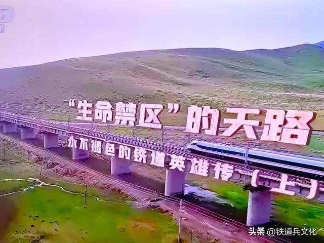 天路上，有人类精神的高地——《“生命禁区”的天路》观后编录