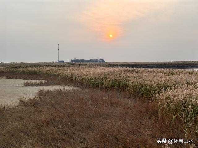 2025辽宁赏秋之旅日记(6)——到辽河口中国最北海岸线看日出 观鸟