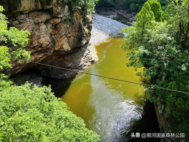 绿野仙踪+山水秘境！快来黑河抓住夏天的尾巴，奔赴一场绿意清凉之约