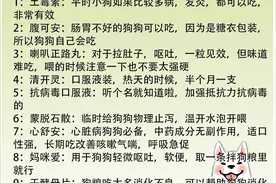狗狗看病套路深，备着这些在家就能解决！图片