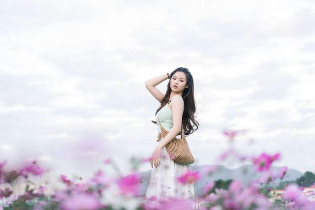 格桑花开！共赴一场反季的浪漫