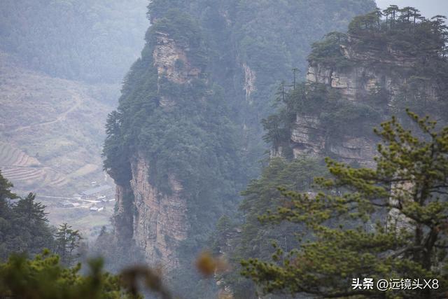 张家界国家森林公园的自然诗篇