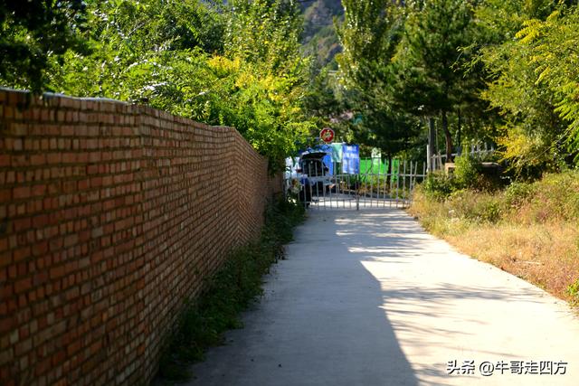延庆应梦寺（五）：山巅极目收千嶂，林海听风涤尘心