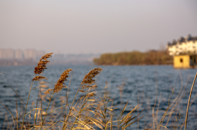 来淄博“捡秋”！海岱楼、周村大街…全被捡出来了→
