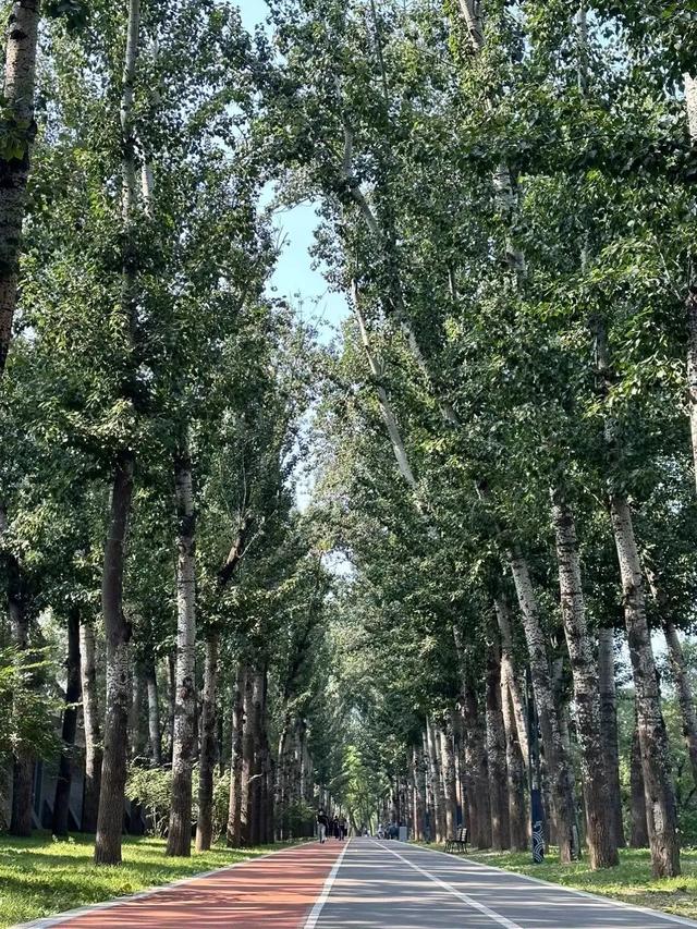 当一位普通北京市民爱上逛公园