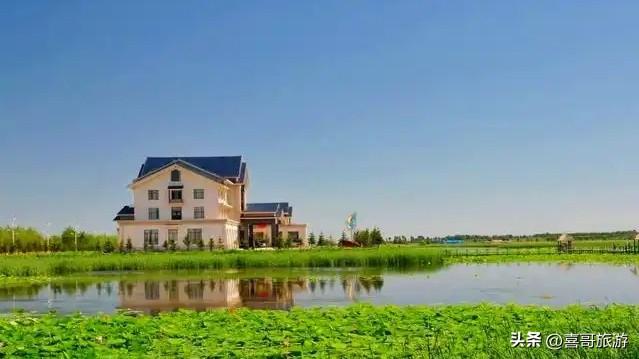 松原莲花源：塞北江南的千亩莲海与湿地秘境