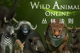 世界进入“丛林法则”，二战秩序即将全面崩溃，中国需要主动作为图片