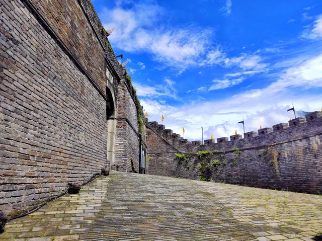 广元青川:“不走回头路”,可真难!