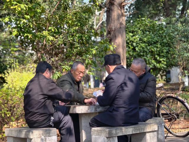 醴陵冬日限时暖阳已上线，公主王子请享用