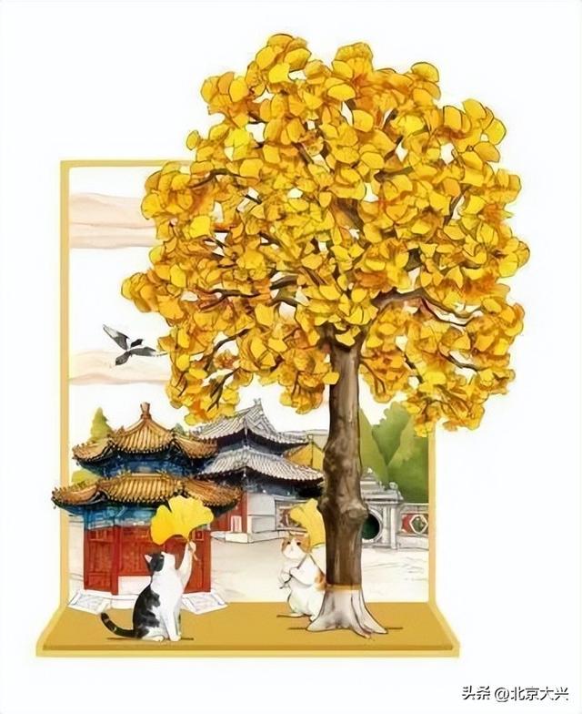 绝美！北京秋季颜值已达巅峰！这样定格最美秋天！