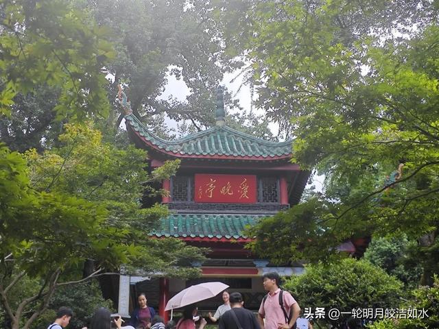 岳麓漫游，感受红色基因与烟火气