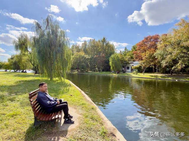 重阳节，上海赏秋之美