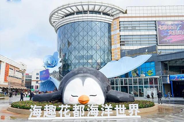 跟着上合马游昆明|跑友注意！这些景区免票！